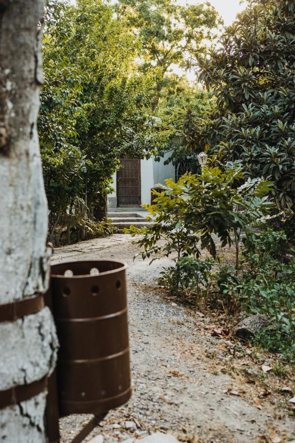 Apartamento Casa Campestre las Ruedas Parras de la Fuente Exterior foto